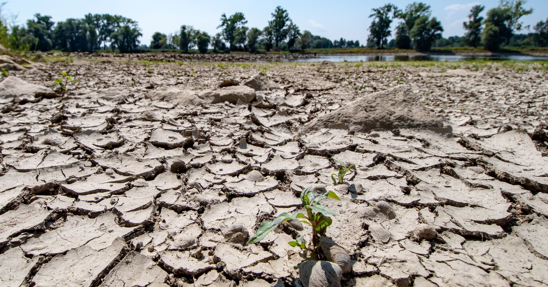 scientists-predict-anomalously-warm-climate-until-2022-huffpost