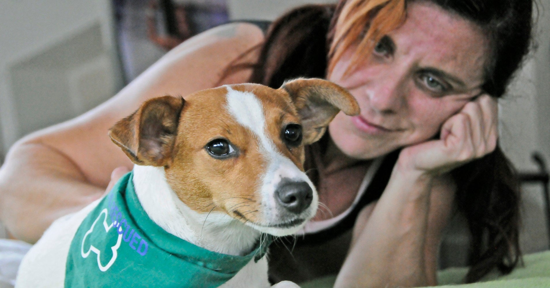 Southwest Airlines Cracks Down On Emotional Support Animals HuffPost Life