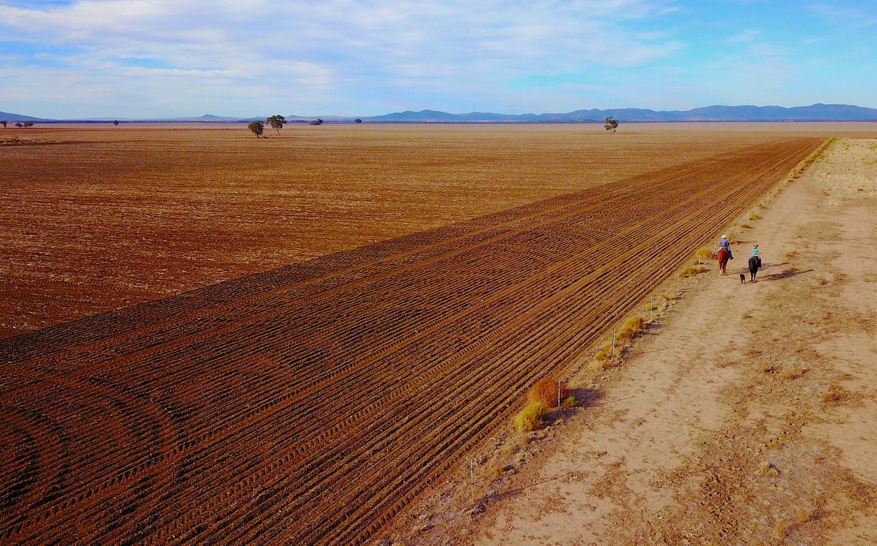 This farmland in central New South Wales is usually home to wheat crops.