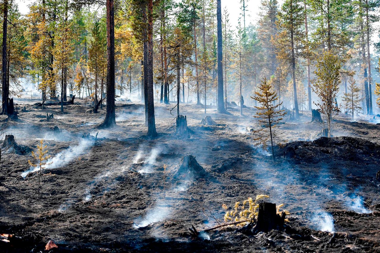 A forest fire burns out in central Sweden.