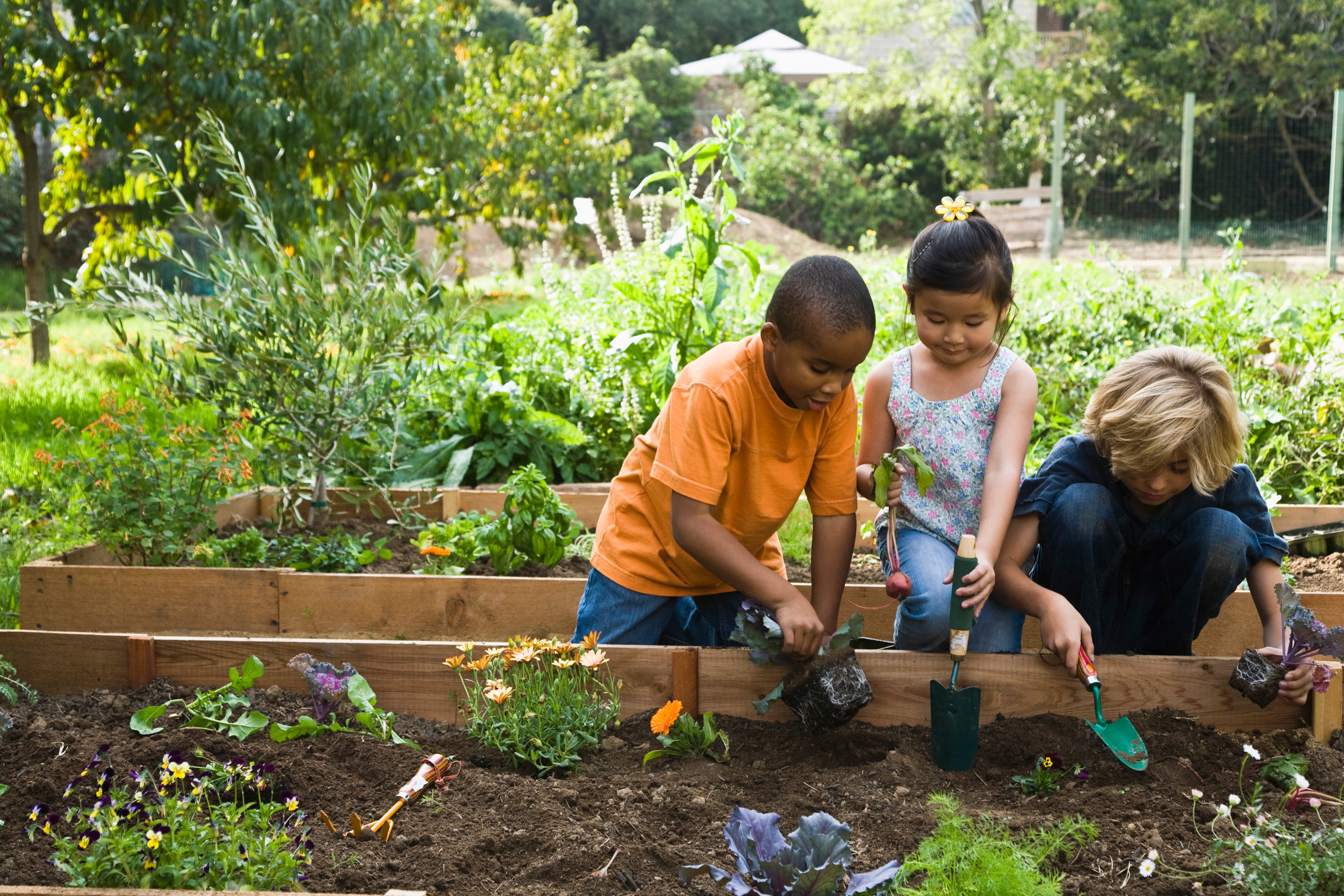 gardening