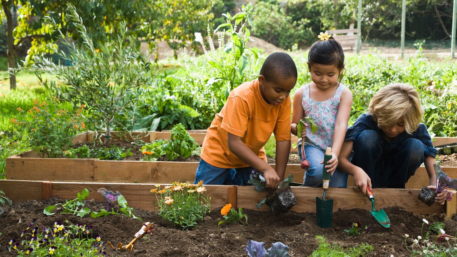 Children's Gardening National Allotment Week Why You Should Get Your Kids Into Gardening