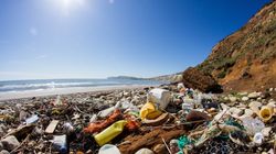 Overwhelming Public Support For  Using Taxes To Fight Plastic Waste