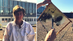 Stadtimkerin erklärt den Kampf gegen das Bienensterben – und die