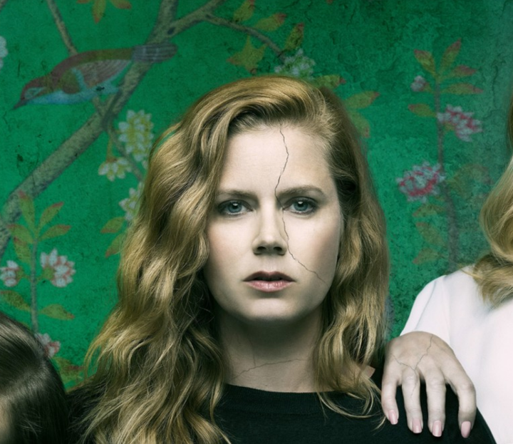 Camille Preaker (played by Amy Adams) in HBO's "Sharp Objects" is a bad journalist, but she doesn't fit the typical pop cultu