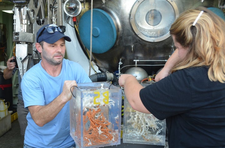  Deep-sea ecologist Erik Cordes, chief scientist of project Deep Search, unloads corals from a submersible aboard the research vessel Atlantis on Thursday. A team of scientists is currently exploring uncharted canyons, gas seeps and coral ecosystems off the Atlantic coast.