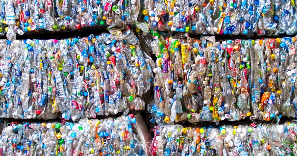 This New Biodegradable Plastic Could Go Straight In Your Compost Bin ...