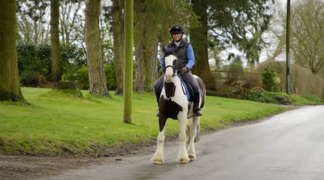 Sea Page 2 The Bake Off Update