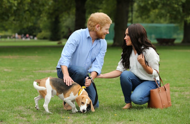 The fake Duke and Duchess of Sussex walk through London's Battersea Park. The REAL royals have reportedly adopted a dog together.