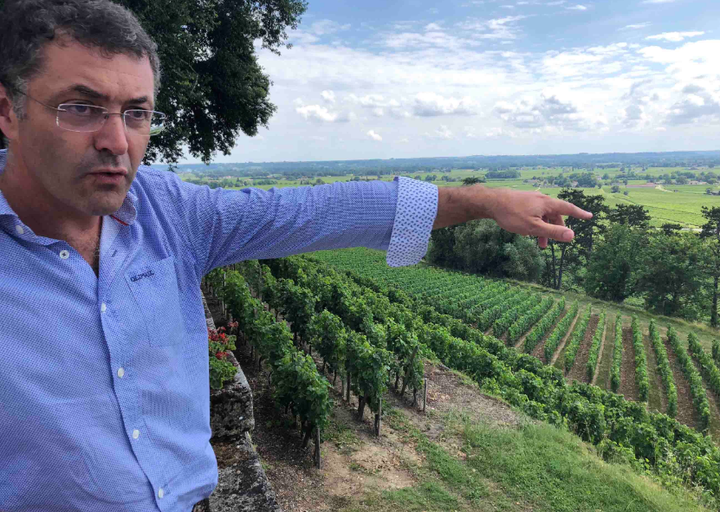 It’s true that the drier climate has produced more exceptional vintages than normal. “Among the 20 driest vintage