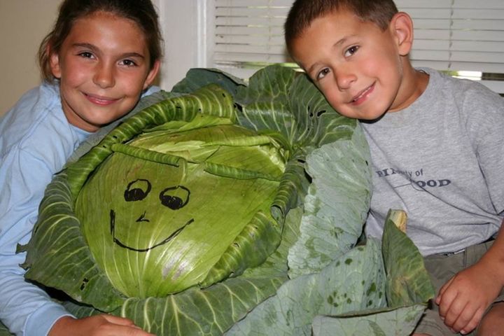 Katie and her little brother with the cabbage.