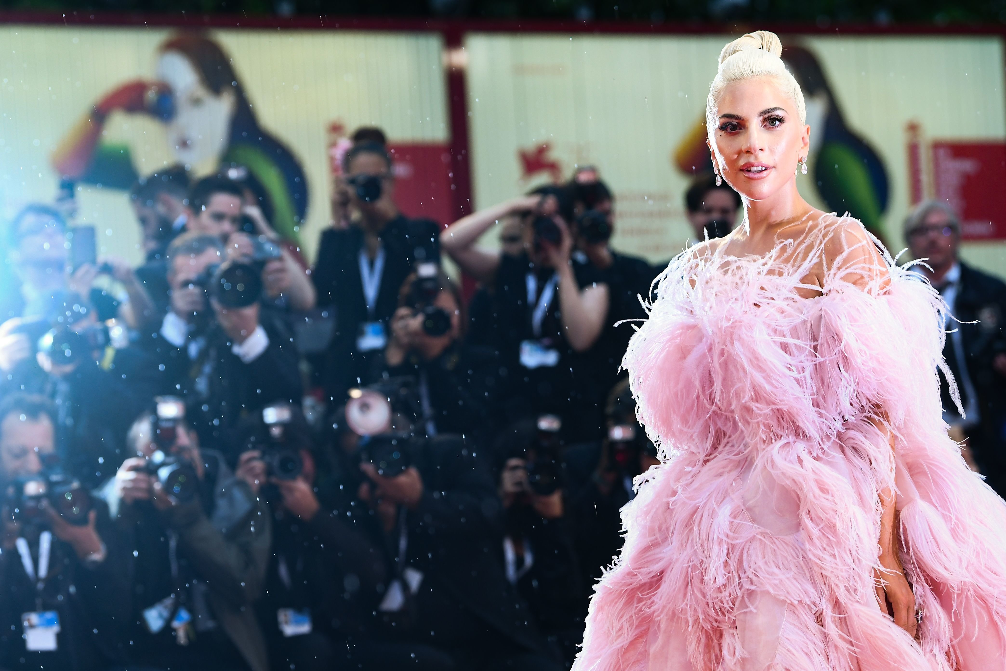 lady gaga pink valentino gown