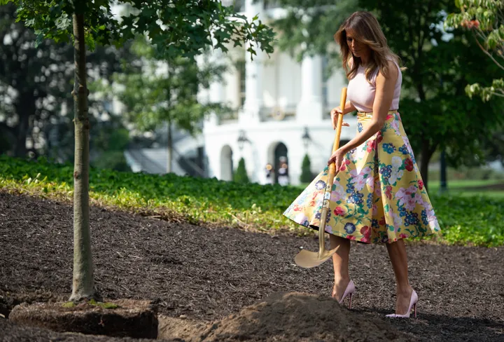 Melania's Pink Christian Louboutin Heels