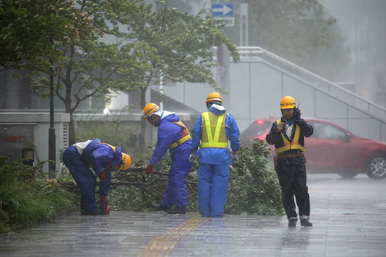 Local government wokers remove a fallen tree along a pavement.