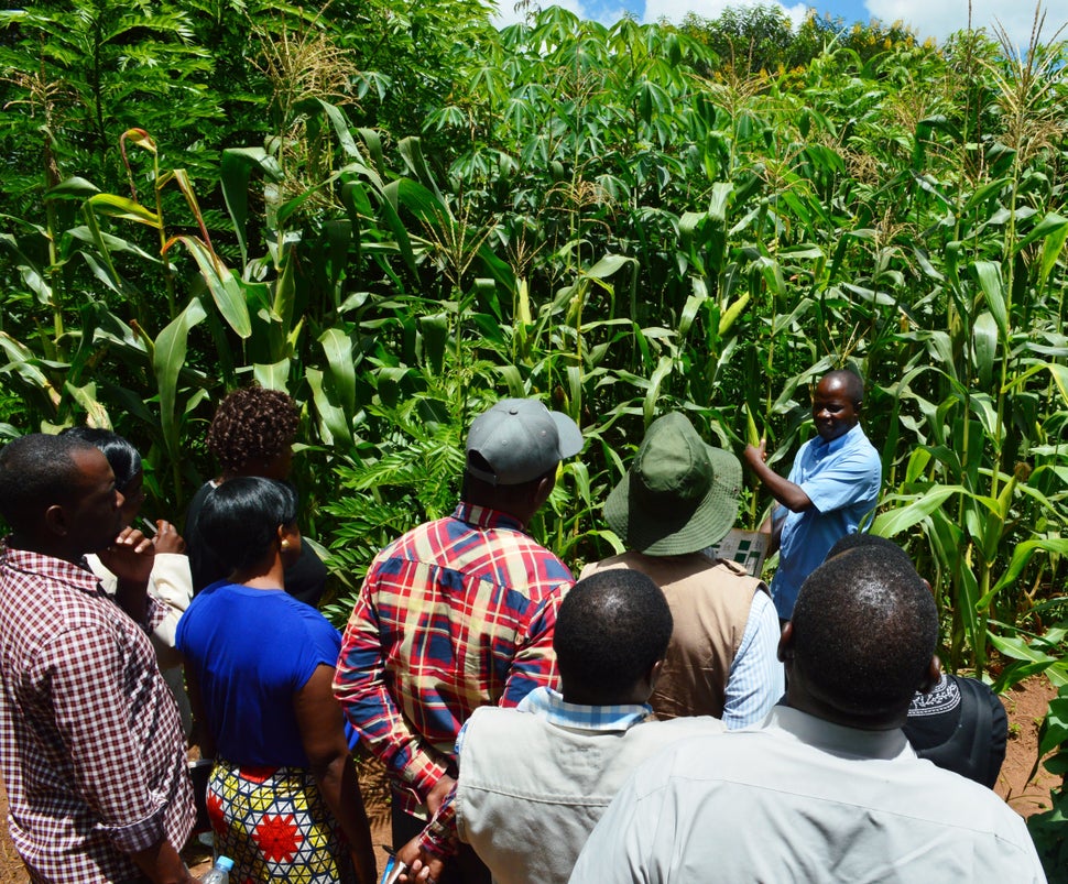 Never Ending Food&rsquo;s manager, Peter Kaniye, teaching a group of Malawian agriculture workers about permaculture.