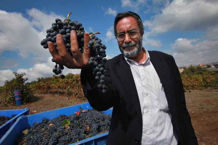 Haim Abergil, the Kashrut supervisor of the Dalton winery in northern Galilee in Israel, inspects just-harvested Merlot grapes in a vineyard. In order to qualify as kosher wine, the entire wine-making procedure -- both in the vineyards and in the winery -- must be overseen and certified by an authorized rabbi.