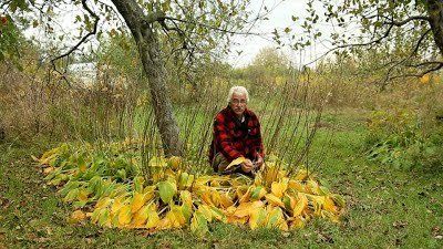 Stefan Sobkowiak on his permaculture farm in Quebec. 