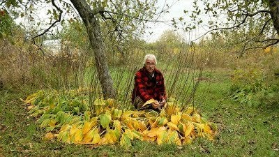 Stefan Sobkowiak on his permaculture farm in Quebec.&nbsp;