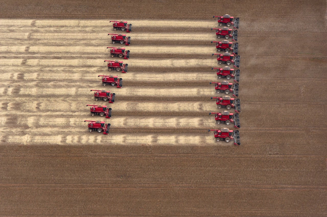 Soy farming in in Campo Novo do Parecis in Mato Grosso, Brazil.