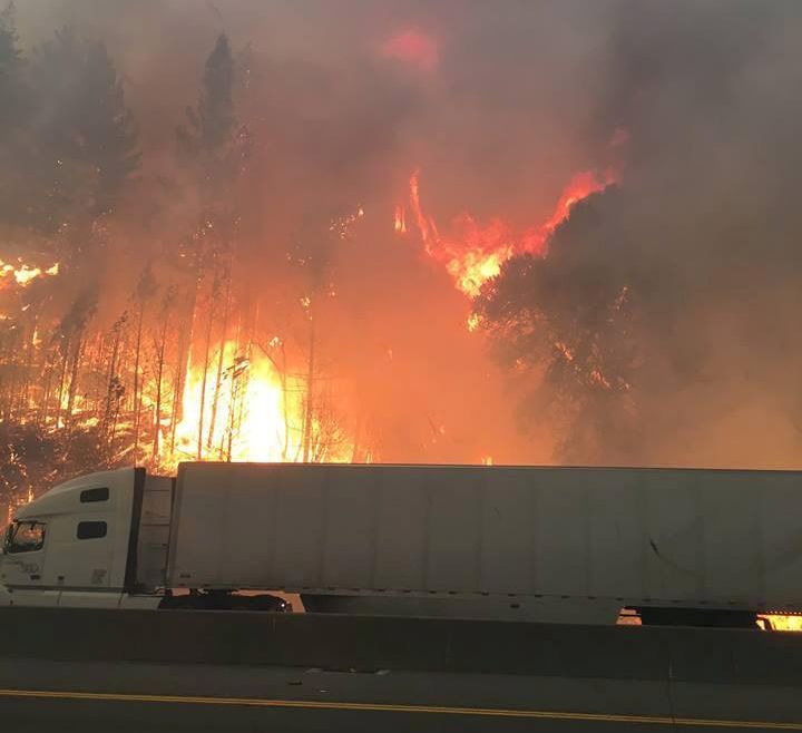 The flames engulfed trees along Interstate 5 north of Redding, California on Wednesday.