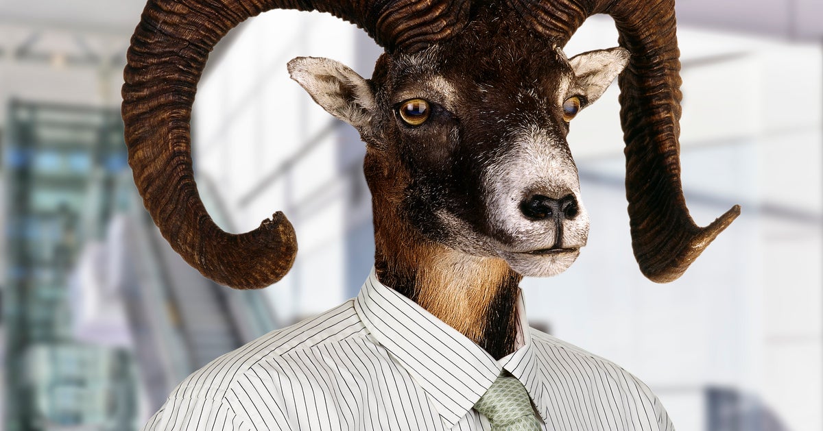 Man Goatsy Goatman Is Hairy, Horny … And This Bah-h-hdass Won’t Go Away | HuffPost ...