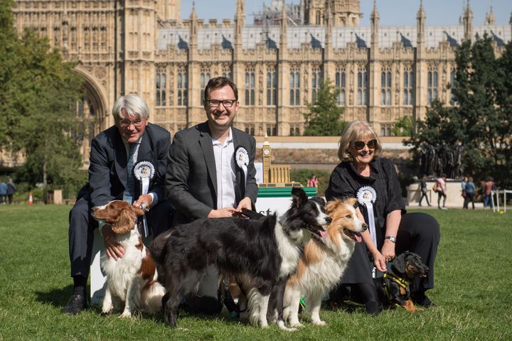 L-R Andrew Mitchell & Scarlet 2nd, Alex Norris & Boomer and Corona 1st, Dame Cheryl Gillan with DT dog Gooseberry