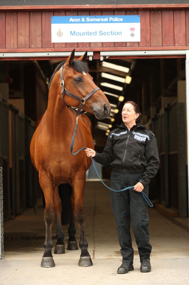 Quantock with handler PC Trudi Gunn 