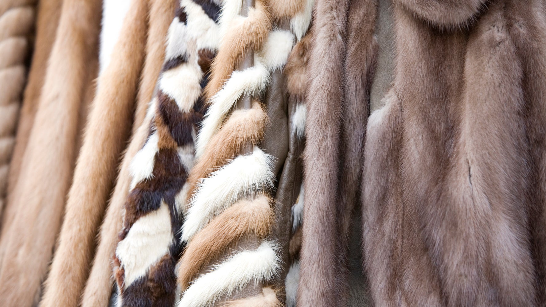 London Fashion Week To Ban Animal Fur From Catwalks | HuffPost UK Life