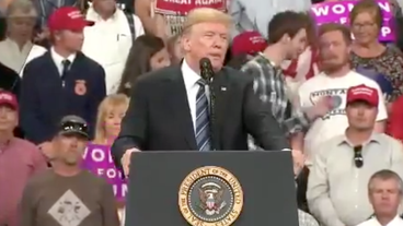 Zina Bash Zina Bash