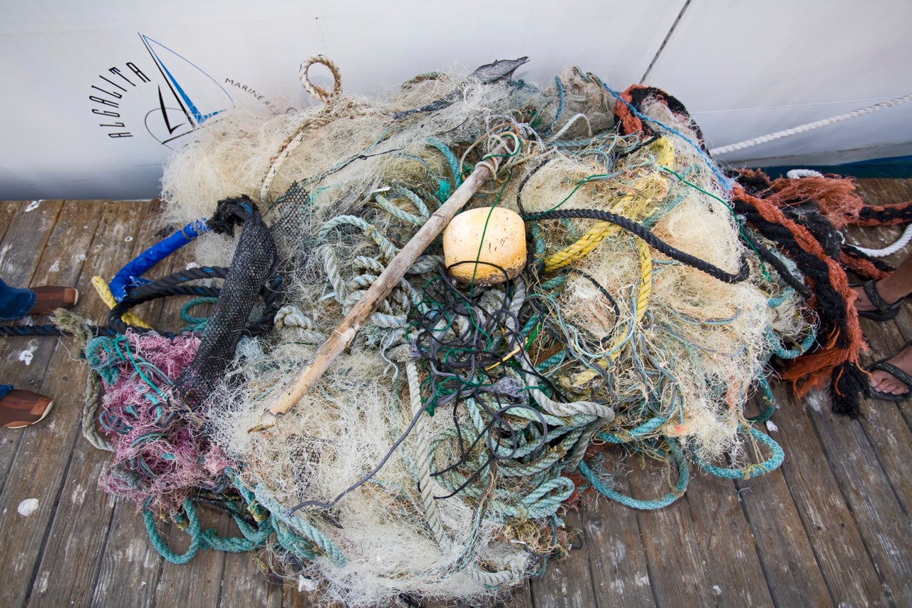 Some garbage collected from the North Pacific Gyre.