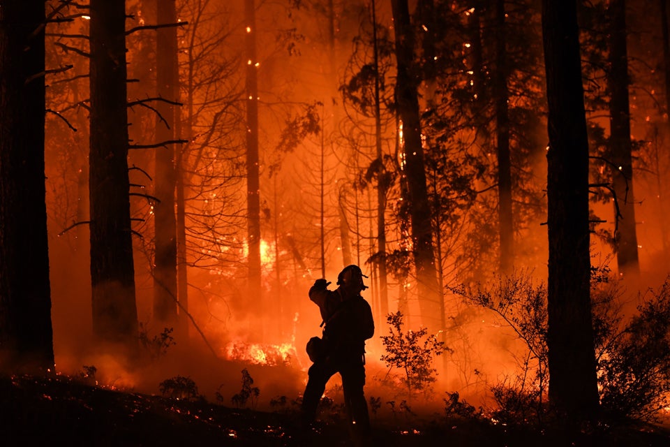 A firefighter tries to control a back burn as the Carr fire continues to spread toward the towns of Douglas...