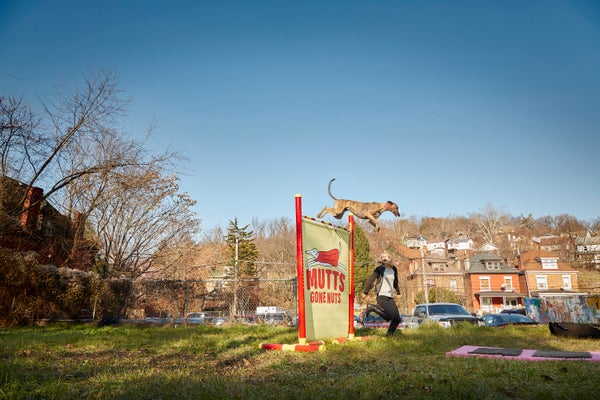 Feather, a dog in Frederick, Maryland, is able to jump 75.5 inches off the ground.