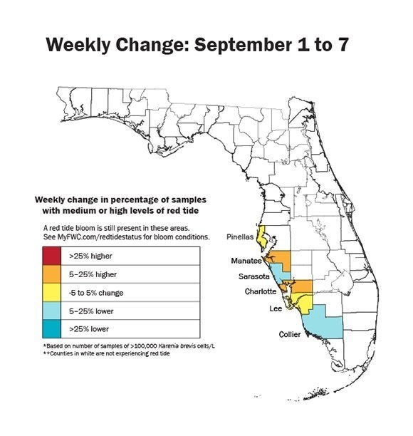 The toxic red tide that is killing fish and other wildlife along the southern Florida coast has spread up into the Tampa Bay area, wildlife officials said.