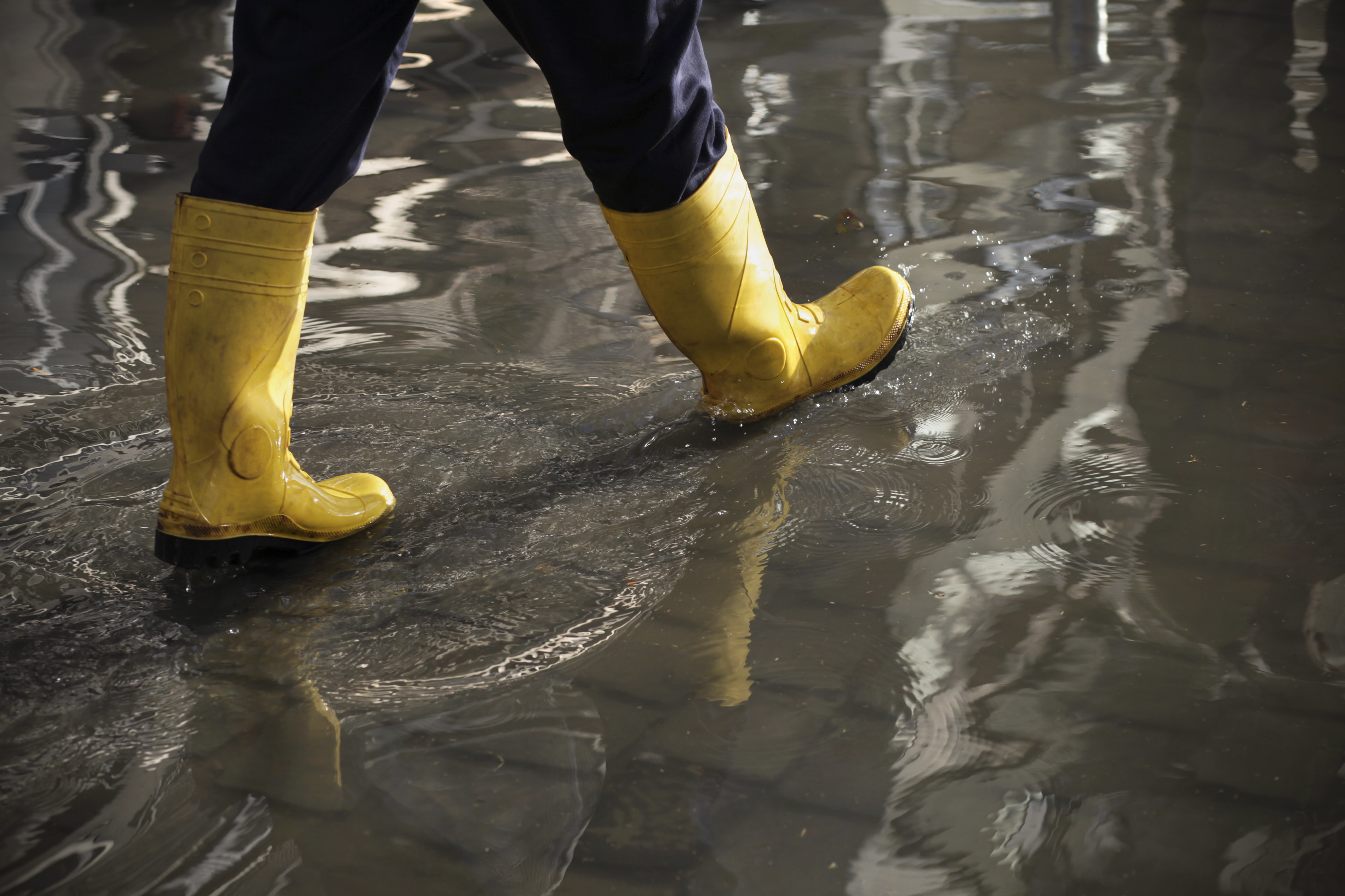 rainproof boots