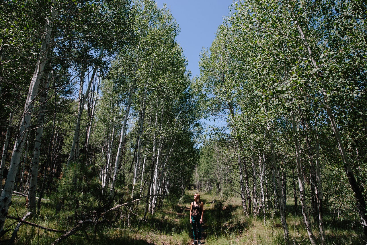 Laura Quinn in the woods of the Coconino National Forest outside Flagstaff, Arizona.