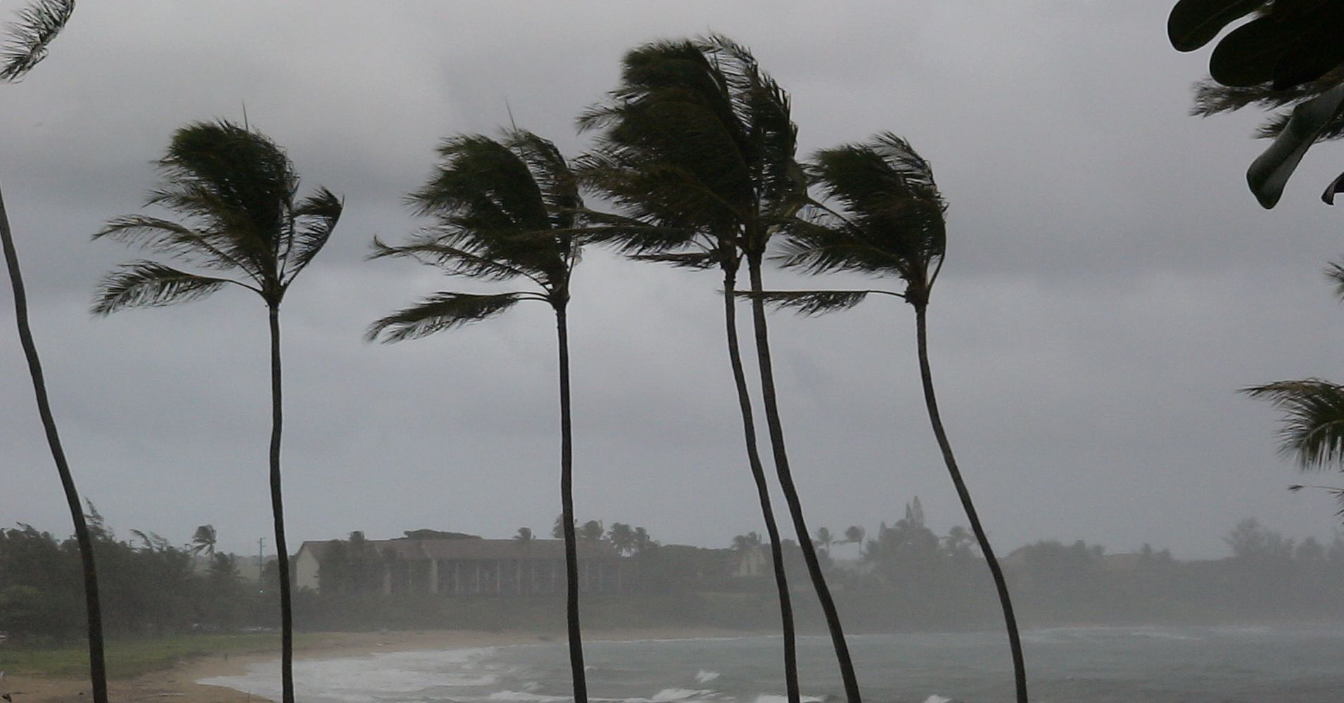 Tropical Storm Olivia May Drop 15 Inches Of Rain On Hawaii, Forecasters