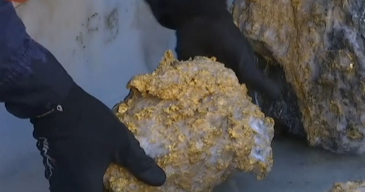 Miner Literally Strikes Gold in Australia | HuffPost UK