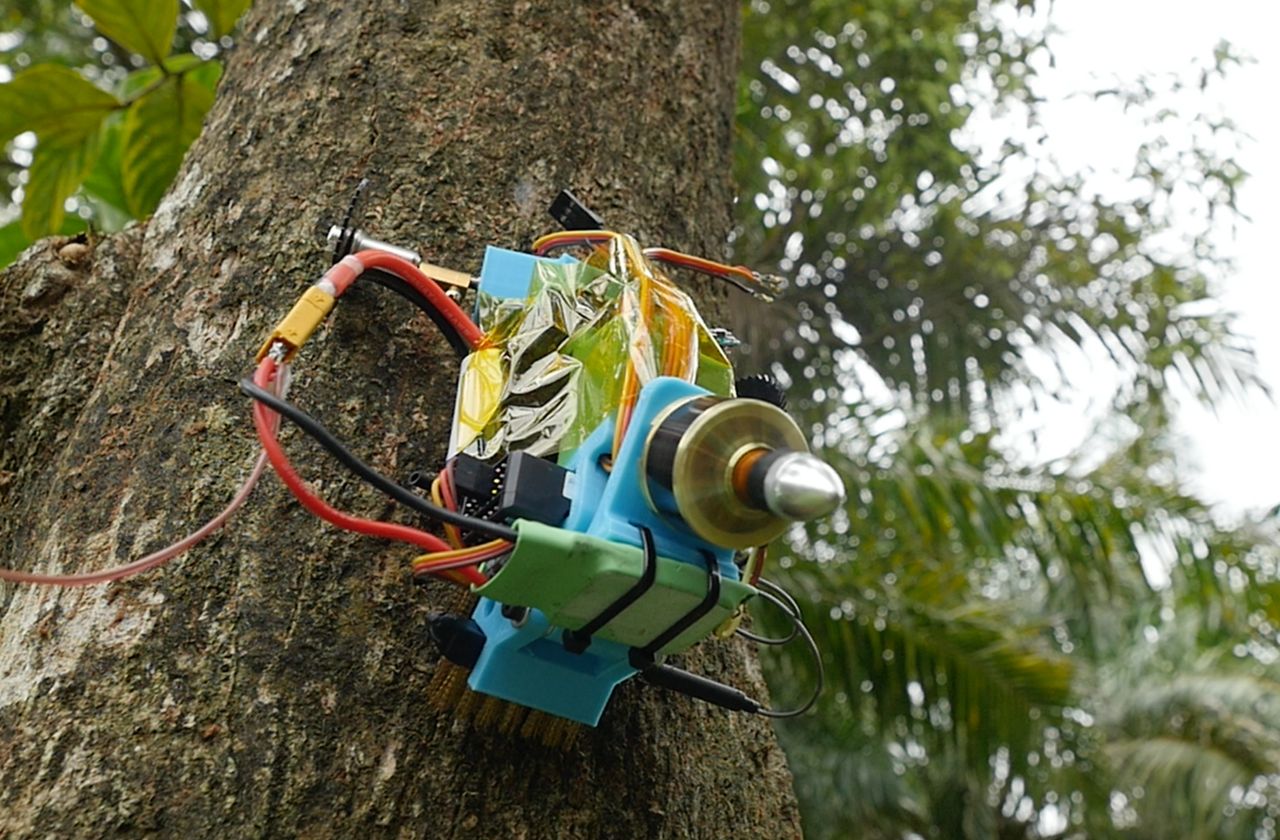 Michael Candy's robot scales a tree.