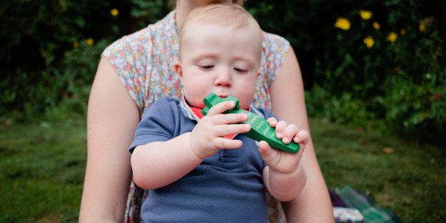 Baby boy (1 year old) sitting in a garden with his mother, holding a toy crocodile.
