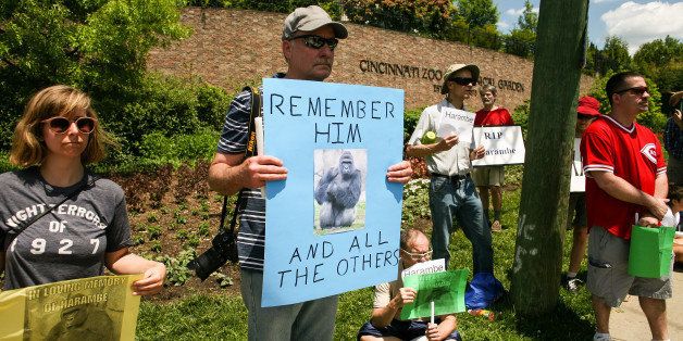 People attend a vigil outside the Cincinnati Zoo and Botanical Gardens, two days after a boy tumbled into its moat and officials were forced to kill Harambe, a Western lowland gorilla, in Cincinnati, Ohio, U.S. May 30, 2016. REUTERS/William Philpott