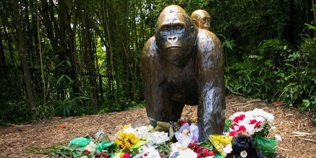 Flowers lay around a bronze statue of a gorilla and her baby outside the Cincinnati Zoo's Gorilla World exhibit, two days after a boy tumbled into its moat and officials were forced to kill Harambe, a Western lowland gorilla, in Cincinnati, Ohio, U.S. May 30, 2016. REUTERS/William Philpott