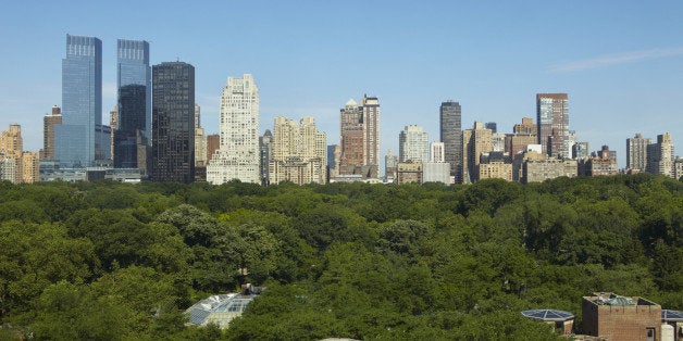 Ginkgo  Central Park Conservancy