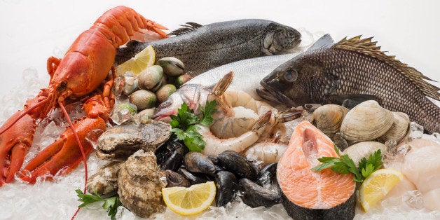 Choice of seafood, Studio shot