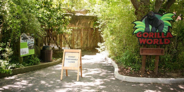 The entrance to the the Cincinnati Zoo's Gorilla World exhibit is closed, two days after a boy tumbled into its moat and officials were forced to kill Harambe, a Western lowland gorilla, in Cincinnati, Ohio, U.S. May 30, 2016. REUTERS/William Philpott