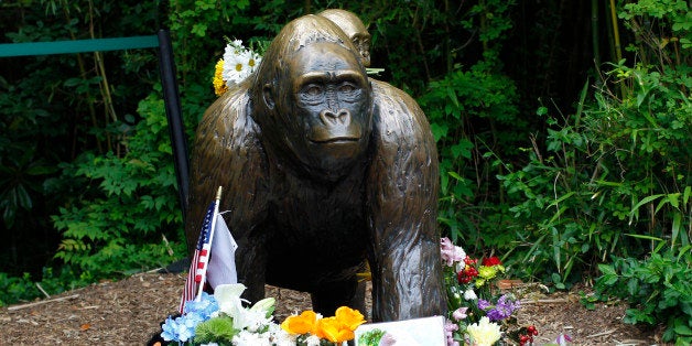 CINCINNATI, OH - JUNE 2: Flowers lay around a bronze statue of a gorilla and her baby outside the Cincinnati Zoo's Gorilla World exhibit days after a 3-year-old boy fell into the moat and officials were forced to kill Harambe, a 17-year-old Western lowland silverback gorilla June 2, 2016 in Cincinnati, Ohio. The exhibit is still closed as zoo officials work to upgrade safety features of the exhibit. (Photo by John Sommers II/Getty Images)