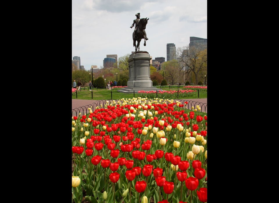 10. Boston, Massachusetts