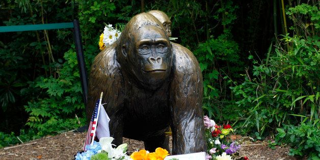 CINCINNATI, OH - JUNE 2: Flowers lay around a bronze statue of a gorilla and her baby outside the Cincinnati Zoo's Gorilla World exhibit days after a 3-year-old boy fell into the moat and officials were forced to kill Harambe, a 17-year-old Western lowland silverback gorilla June 2, 2016 in Cincinnati, Ohio. The exhibit is still closed as zoo officials work to upgrade safety features of the exhibit. (Photo by John Sommers II/Getty Images)