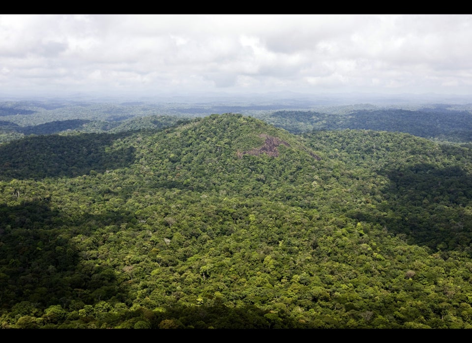 Amazon, South America