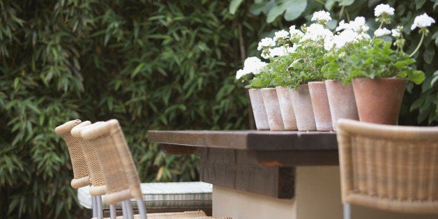 Outdoor bar with potted plants on it