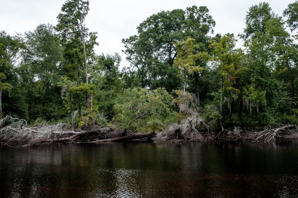 A view of the Lumber River in North Carolina before Hurricane Florence hit.